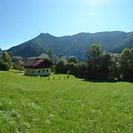 Seitter *